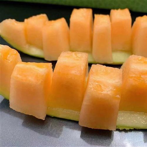 哈密瓜名字的由来,每年夏天必须吃的哈密瓜为什么要叫哈密瓜